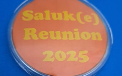 Reunion reflections, nature’s harmonies, and getting Coldplayed (well, not really, but…)