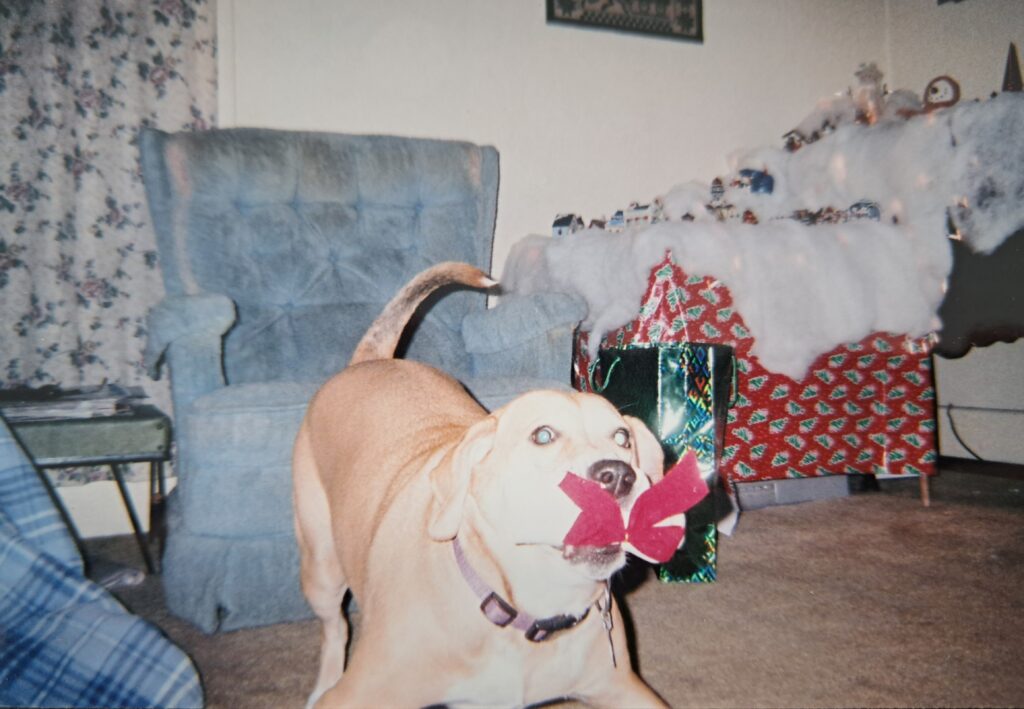No mistakes here. Lucy loud and proud one Christmas.
