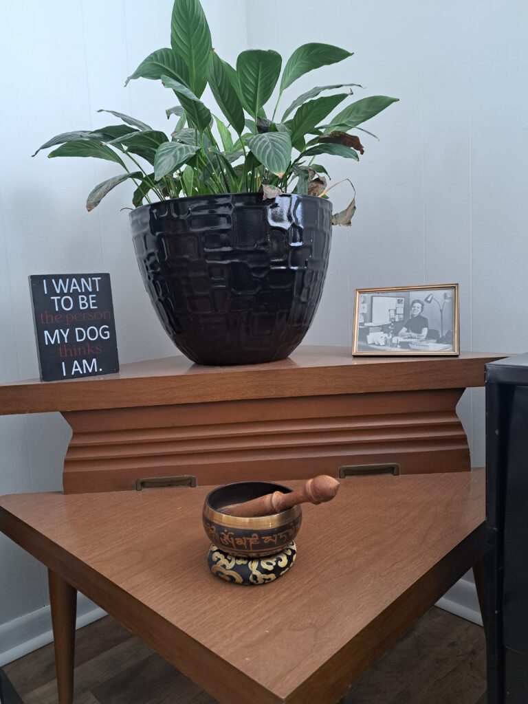 A plant, a singing bowl, a mantra, and a mom pic