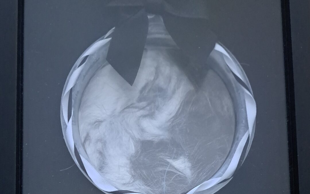 Wisdom, love, and everything between: getting back to the root of meditation.