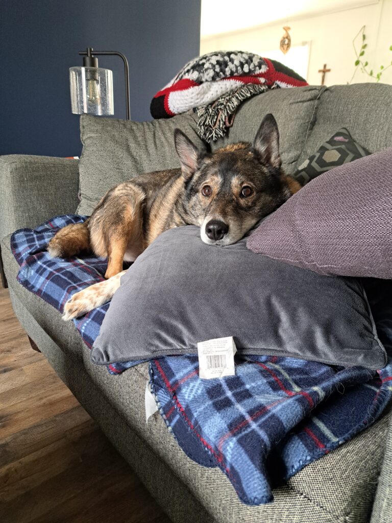 Chip making himself right at home