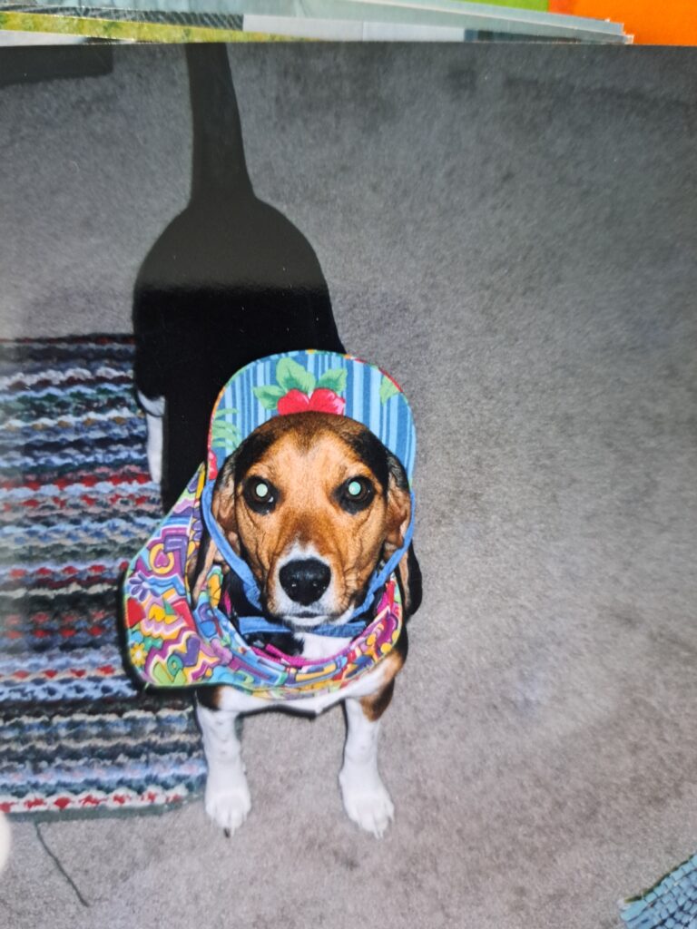 Ellie, a bright flashpoint meteor