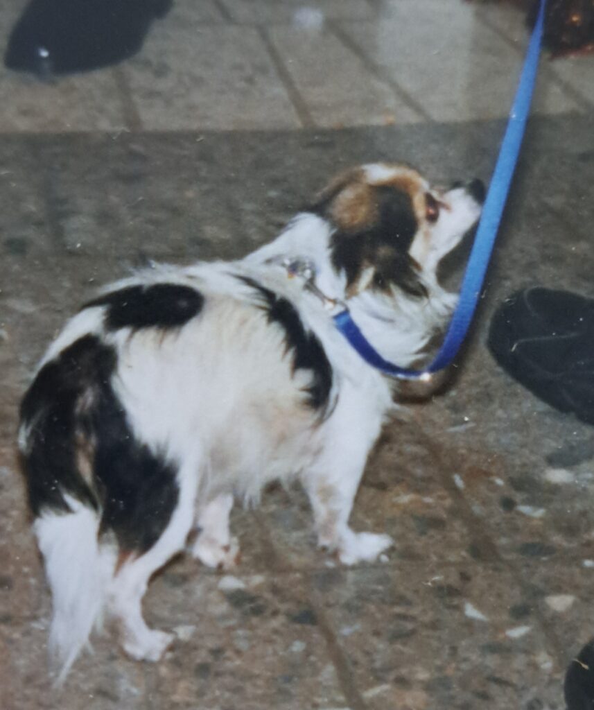 The beginning of it all: Pepper, circa 1996.