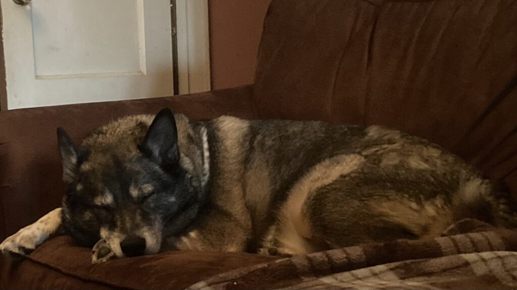 The newest member of the Big Brown Couch club