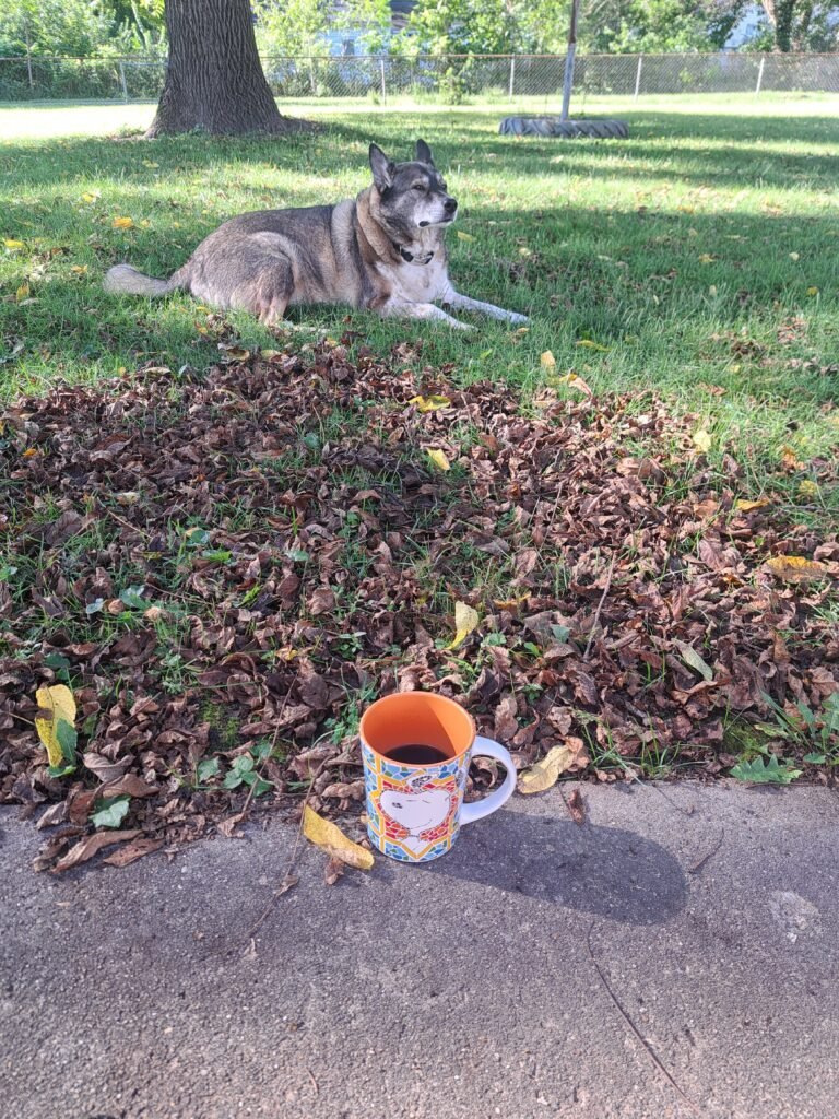 I've got Peanuts coffee cups for days: Chip contemplating his next life move on an Autumn morning.
