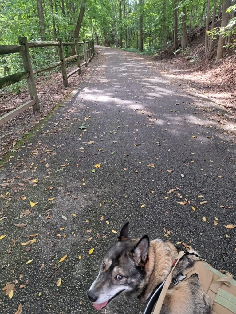 Follow me dad, I will remind you of the Way.